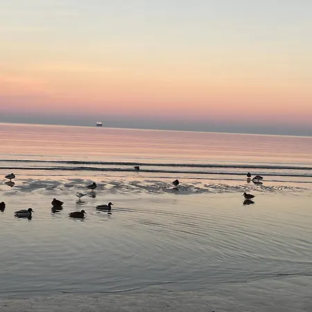 شقة Ambienta - Meeresbrise Mit Strandkorb Am